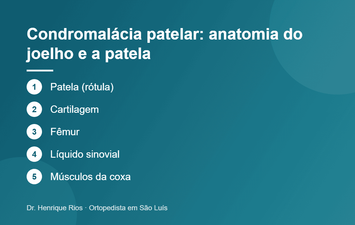 Condromalácia patelar: anatomia do joelho e a patela, Dr. Henrique Rios