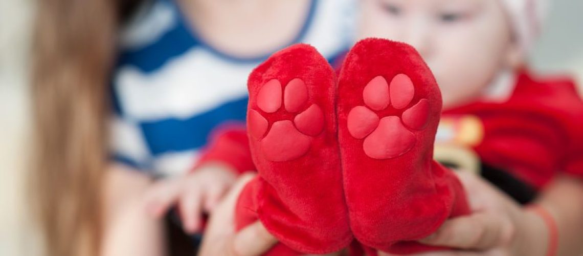 pé torto congênito