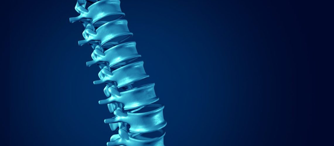 Human Spine concept as medical health care anatomy symbol with the skeletal spinal bone structure closeup on a dark blue background as blank copy space.